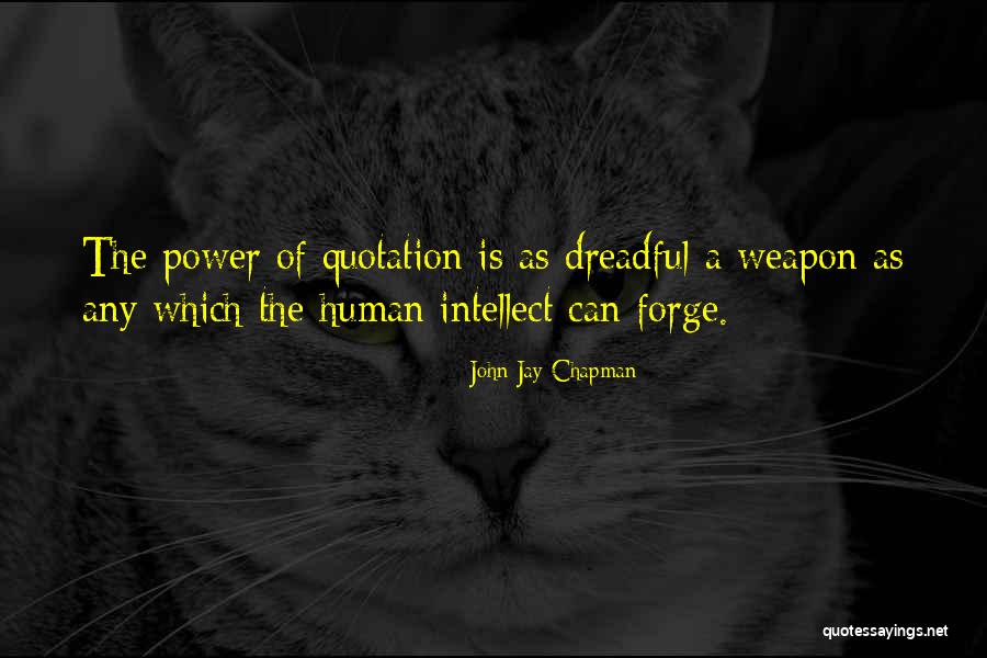 Sfeir Beauty Quotes By John Jay Chapman