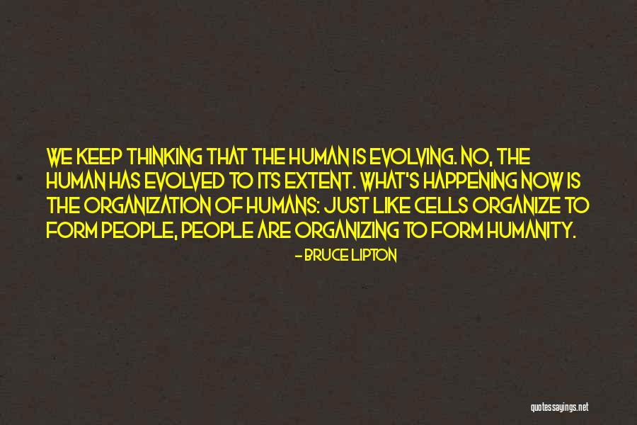 Sferrazza Keenan Quotes By Bruce Lipton Sferrazza Keenan Quotes By Bruce Lipton
