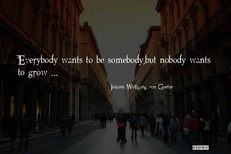 Sfinity Quotes By Johann Wolfgang Von Goethe
