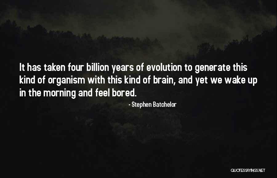 Sfn Tv Now Quotes By Stephen Batchelor Sfn Tv Now Quotes By Stephen Batchelor