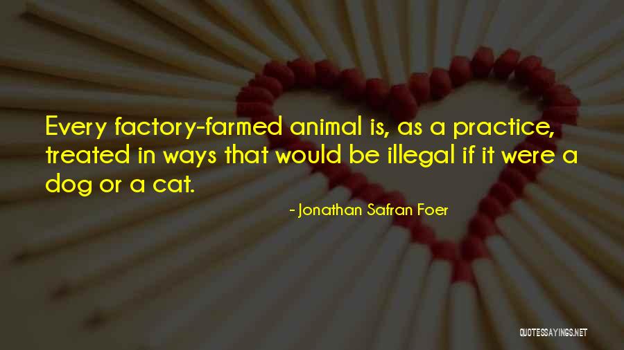 Sfogo In Inglese Quotes By Jonathan Safran Foer Sfogo In Inglese Quotes By Jonathan Safran Foer