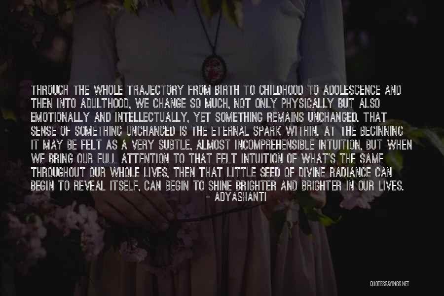 Sgambatis De Pere Quotes By Adyashanti Sgambatis De Pere Quotes By Adyashanti