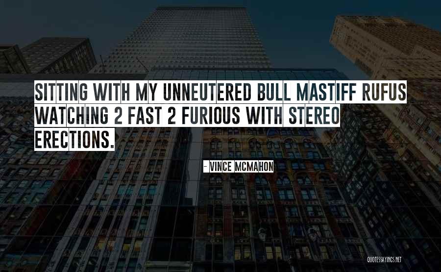 Sgradevole Sinonimo Quotes By Vince McMahon Sgradevole Sinonimo Quotes By Vince McMahon
