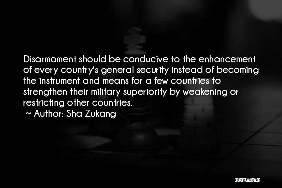Sha Zukang Quotes 252315