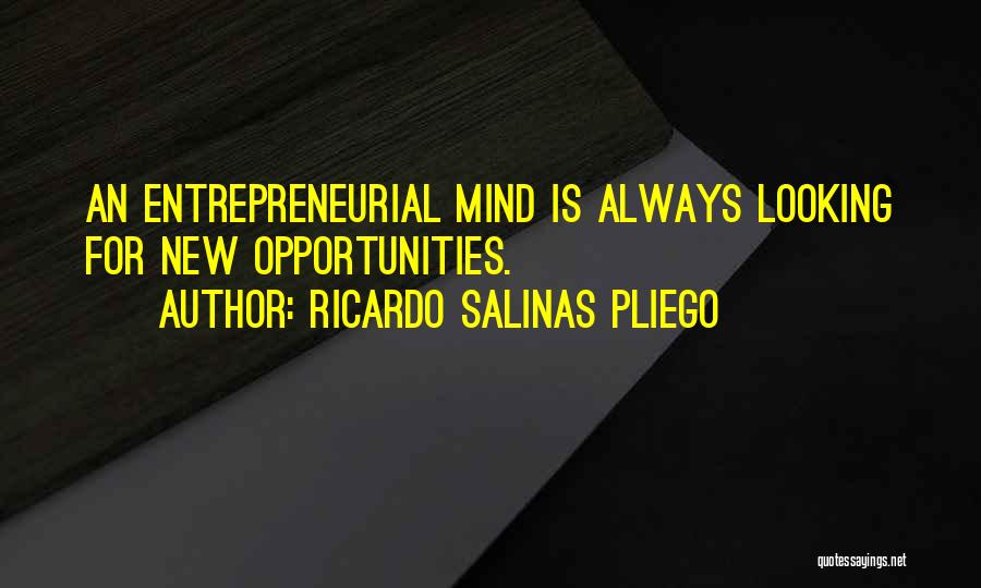 Shaanta Quotes By Ricardo Salinas Pliego