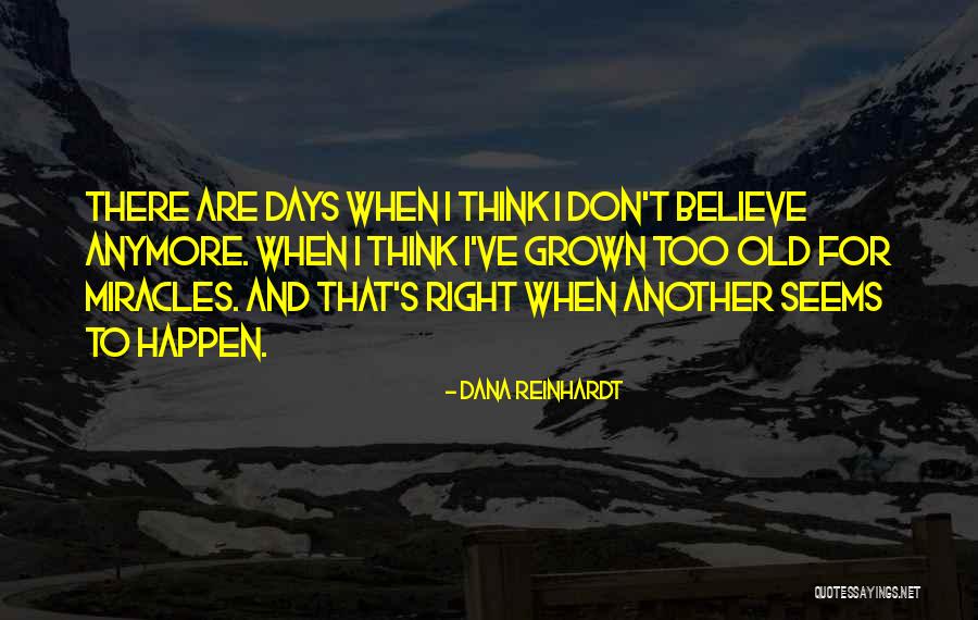 Shaarawi Sheikh Quotes By Dana Reinhardt Shaarawi Sheikh Quotes By Dana Reinhardt