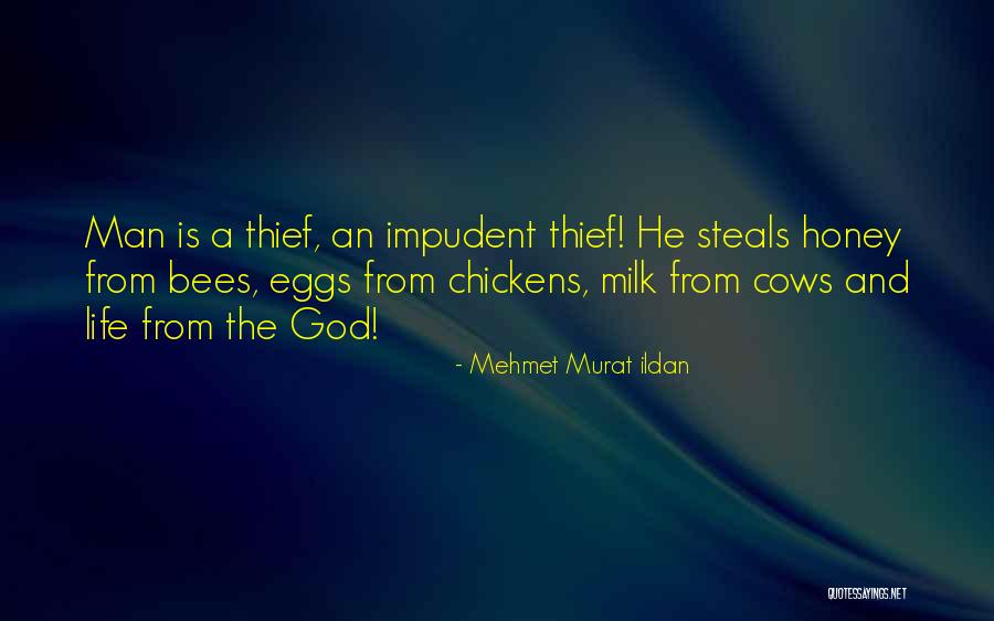 Shabely Quotes By Mehmet Murat Ildan Shabely Quotes By Mehmet Murat Ildan