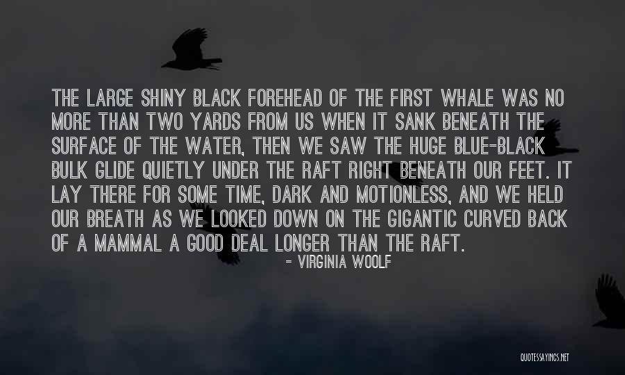 Shackels For Rigging Quotes By Virginia Woolf Shackels For Rigging Quotes By Virginia Woolf