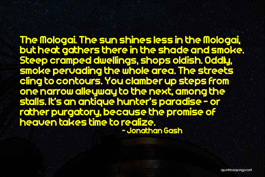 Shade And Sun Quotes By Jonathan Gash Shade And Sun Quotes By Jonathan Gash