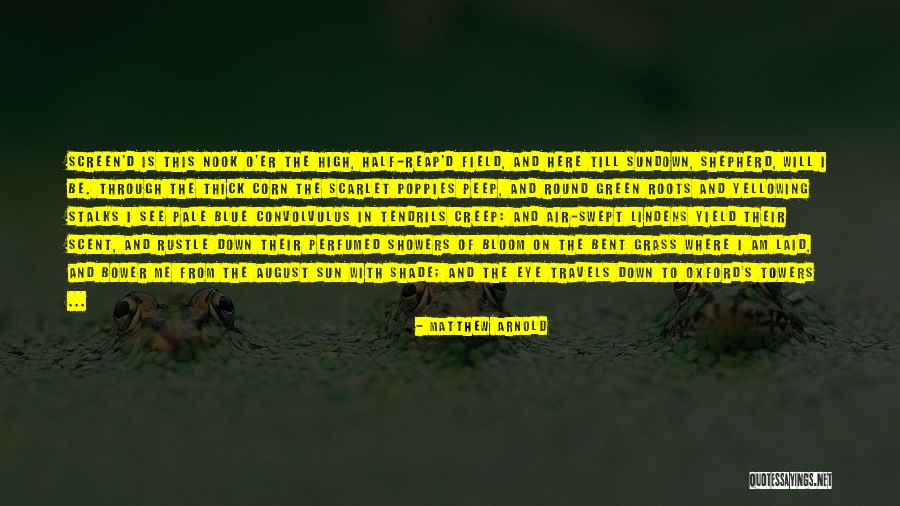 Shade And Sun Quotes By Matthew Arnold Shade And Sun Quotes By Matthew Arnold