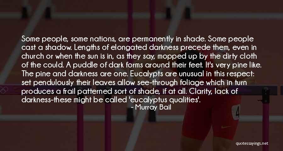 Shade And Sun Quotes By Murray Bail Shade And Sun Quotes By Murray Bail