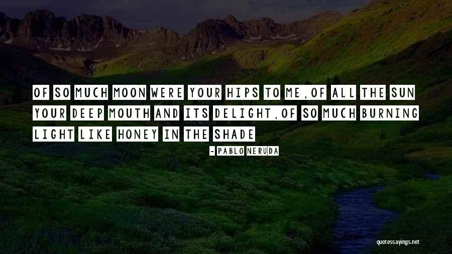 Shade And Sun Quotes By Pablo Neruda Shade And Sun Quotes By Pablo Neruda