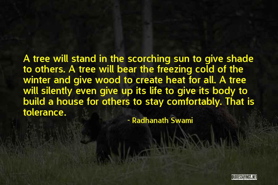 Shade And Sun Quotes By Radhanath Swami Shade And Sun Quotes By Radhanath Swami