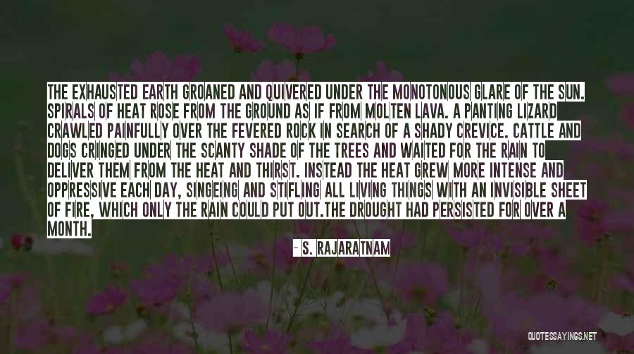 Shade And Sun Quotes By S. Rajaratnam Shade And Sun Quotes By S. Rajaratnam