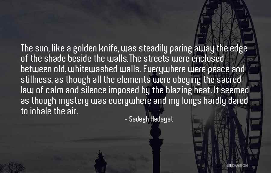 Shade And Sun Quotes By Sadegh Hedayat Shade And Sun Quotes By Sadegh Hedayat