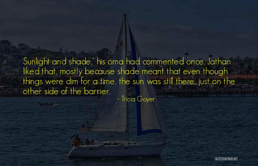 Shade And Sun Quotes By Tricia Goyer Shade And Sun Quotes By Tricia Goyer