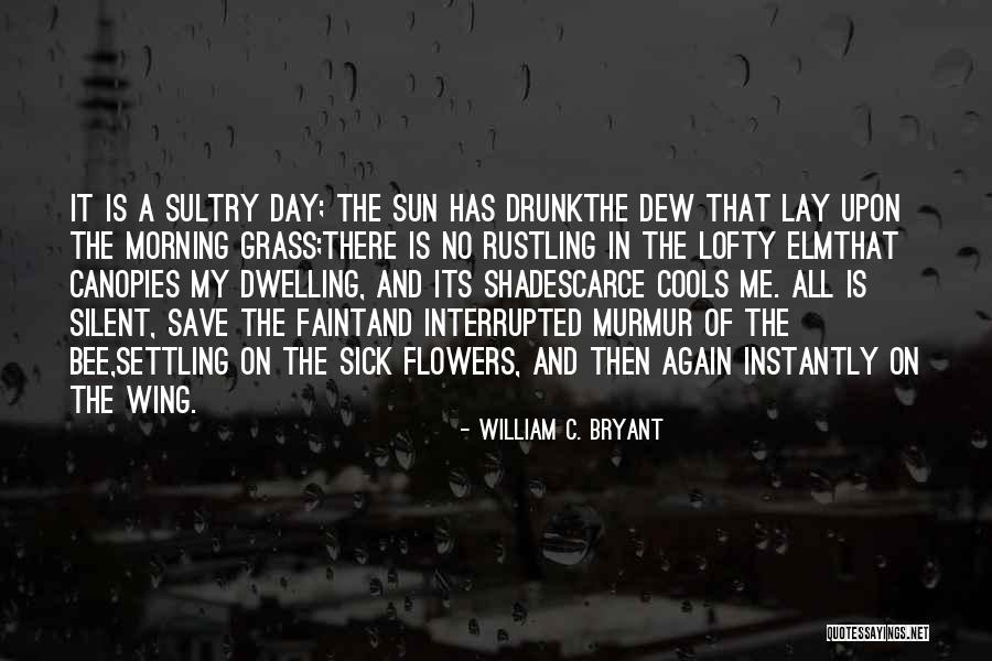 Shade And Sun Quotes By William C. Bryant Shade And Sun Quotes By William C. Bryant