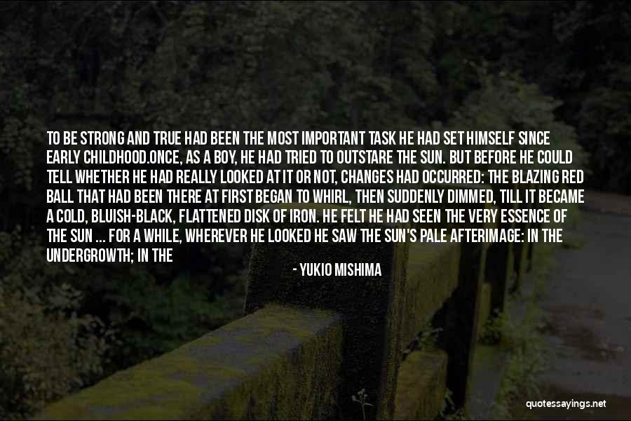 Shade And Sun Quotes By Yukio Mishima Shade And Sun Quotes By Yukio Mishima