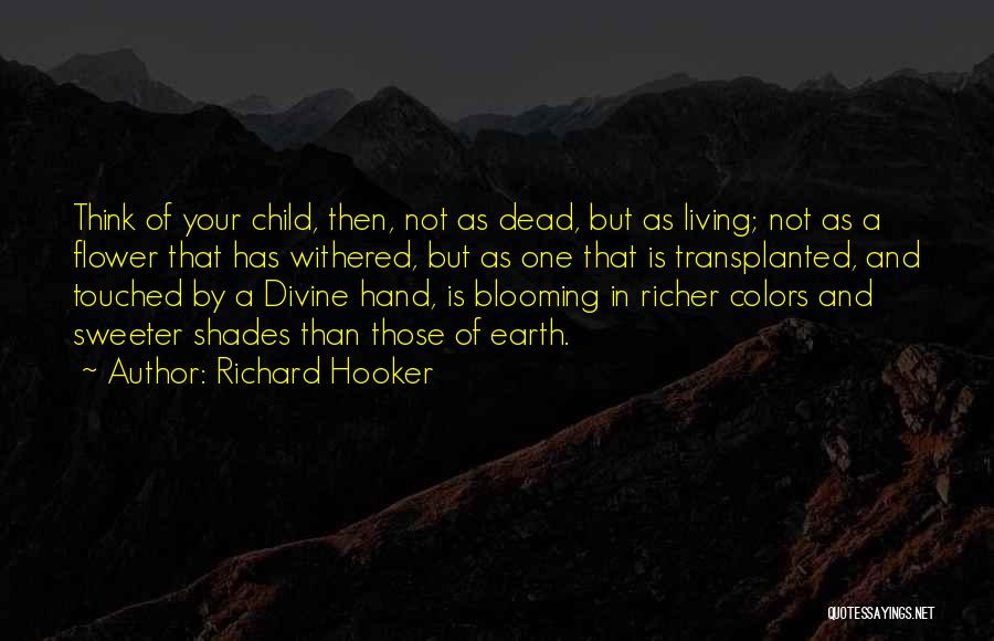 Shades Of Earth Quotes By Richard Hooker