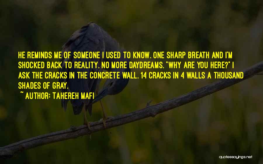 Shades Of Gray Quotes By Tahereh Mafi