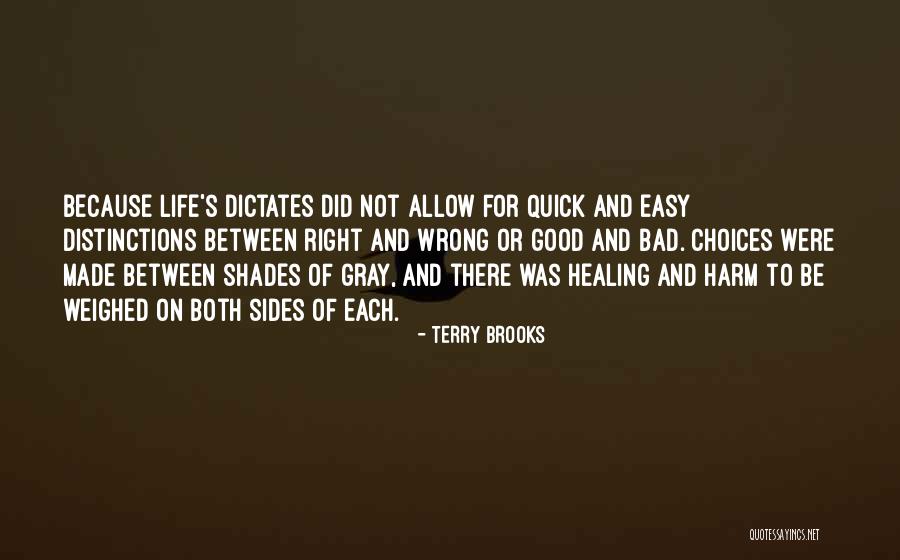 Shades Of Life Quotes By Terry Brooks