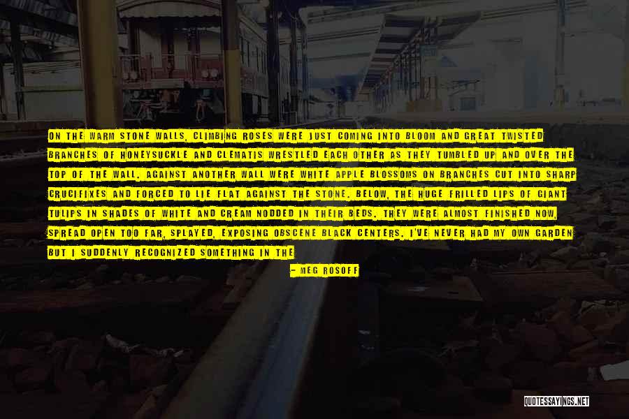 Shades On Quotes By Meg Rosoff Shades On Quotes By Meg Rosoff