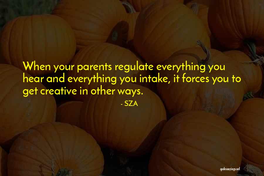 Shadha Rashed Quotes By SZA Shadha Rashed Quotes By SZA