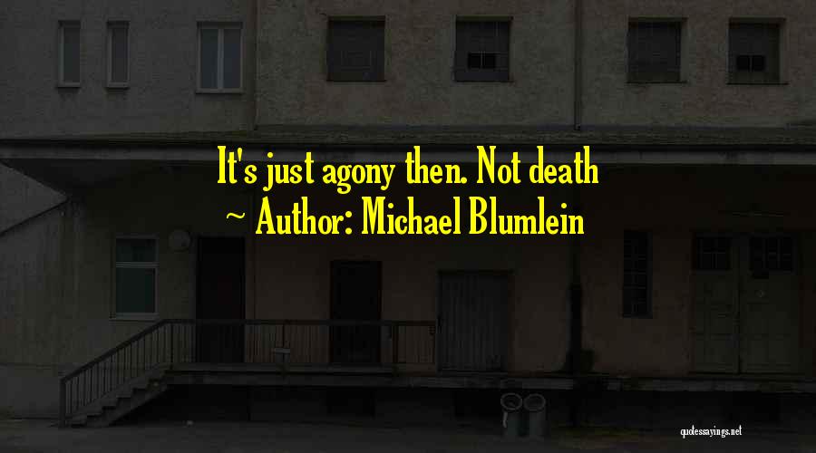 Shadid Plastic Surgery Quotes By Michael Blumlein