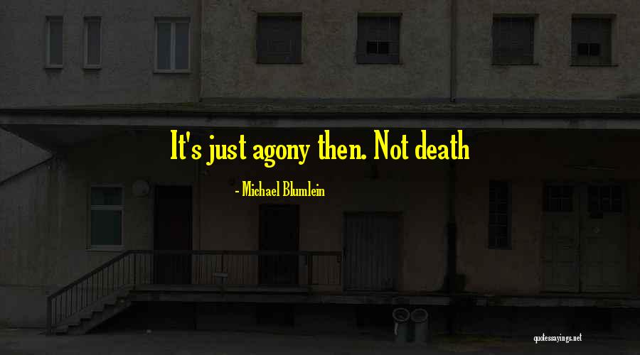 Shadid Plastic Surgery Quotes By Michael Blumlein