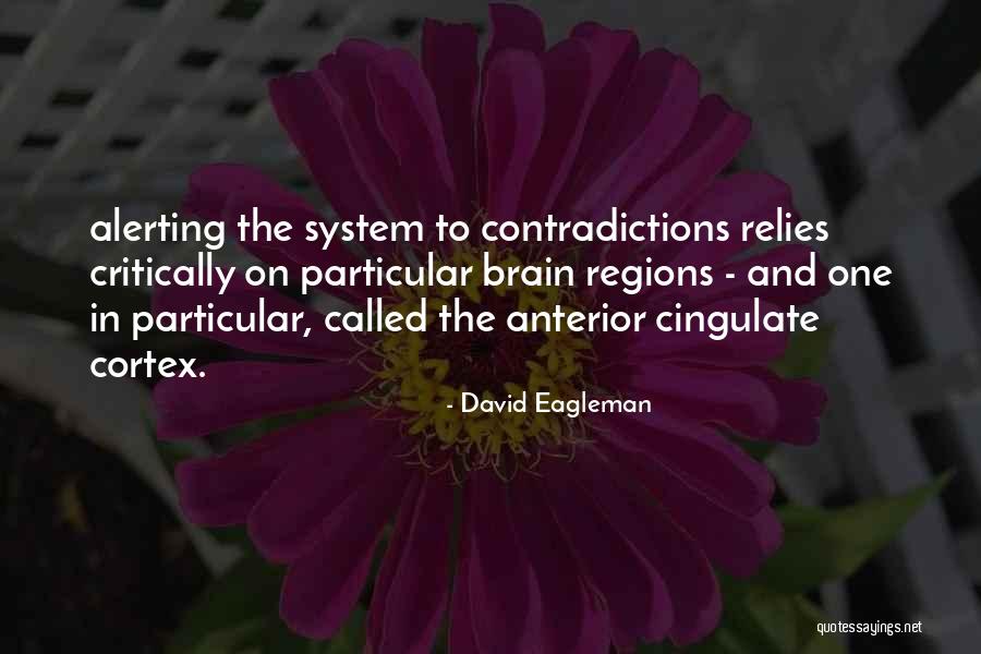 Shadonna Gospel Quotes By David Eagleman Shadonna Gospel Quotes By David Eagleman