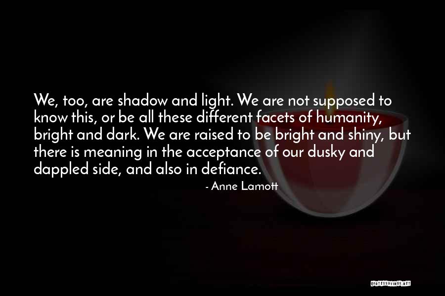 Shadow And Light Quotes By Anne Lamott Shadow And Light Quotes By Anne Lamott