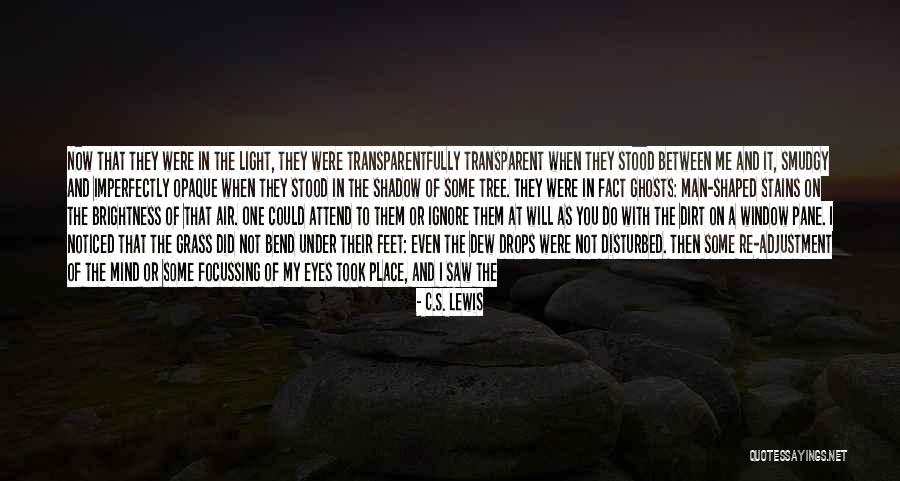 Shadow And Light Quotes By C.S. Lewis Shadow And Light Quotes By C.S. Lewis