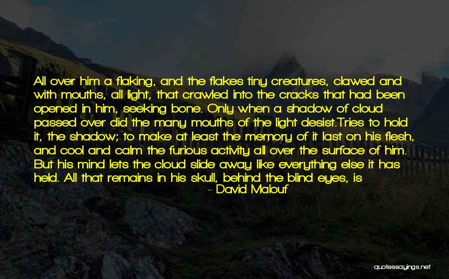 Shadow And Light Quotes By David Malouf Shadow And Light Quotes By David Malouf