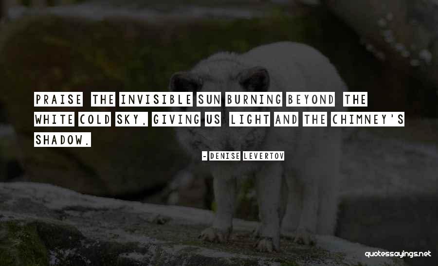 Shadow And Light Quotes By Denise Levertov Shadow And Light Quotes By Denise Levertov