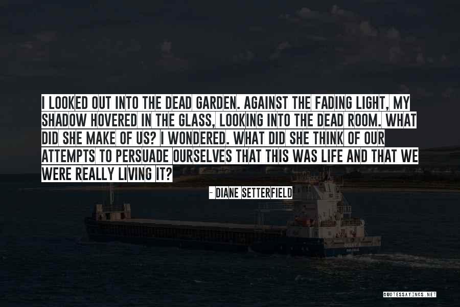 Shadow And Light Quotes By Diane Setterfield Shadow And Light Quotes By Diane Setterfield
