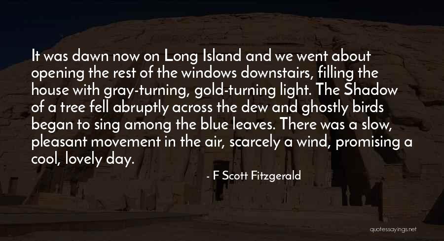 Shadow And Light Quotes By F Scott Fitzgerald Shadow And Light Quotes By F Scott Fitzgerald