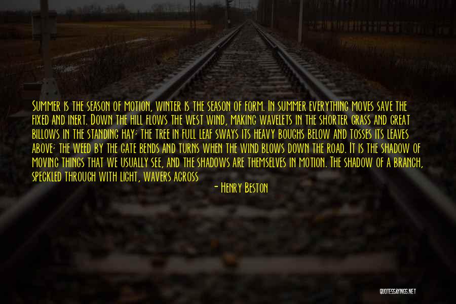 Shadow And Light Quotes By Henry Beston Shadow And Light Quotes By Henry Beston
