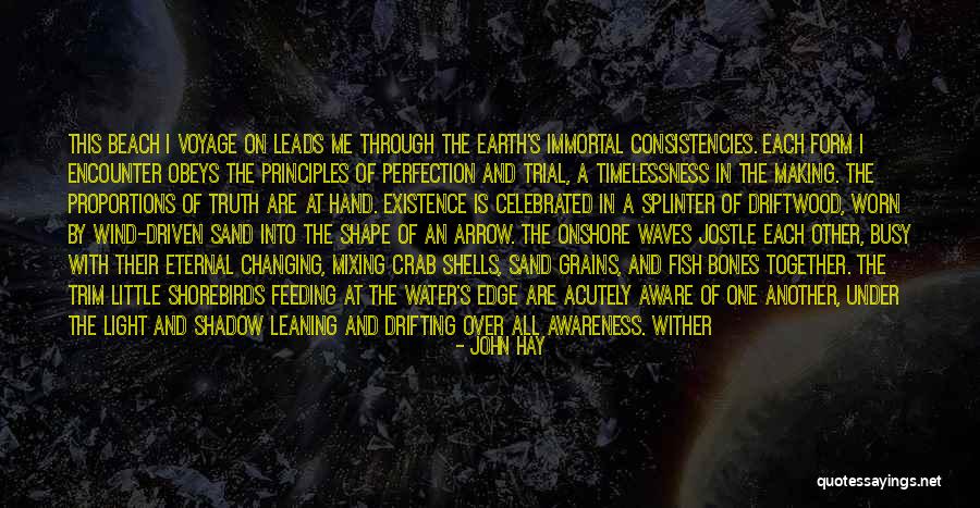 Shadow And Light Quotes By John Hay Shadow And Light Quotes By John Hay