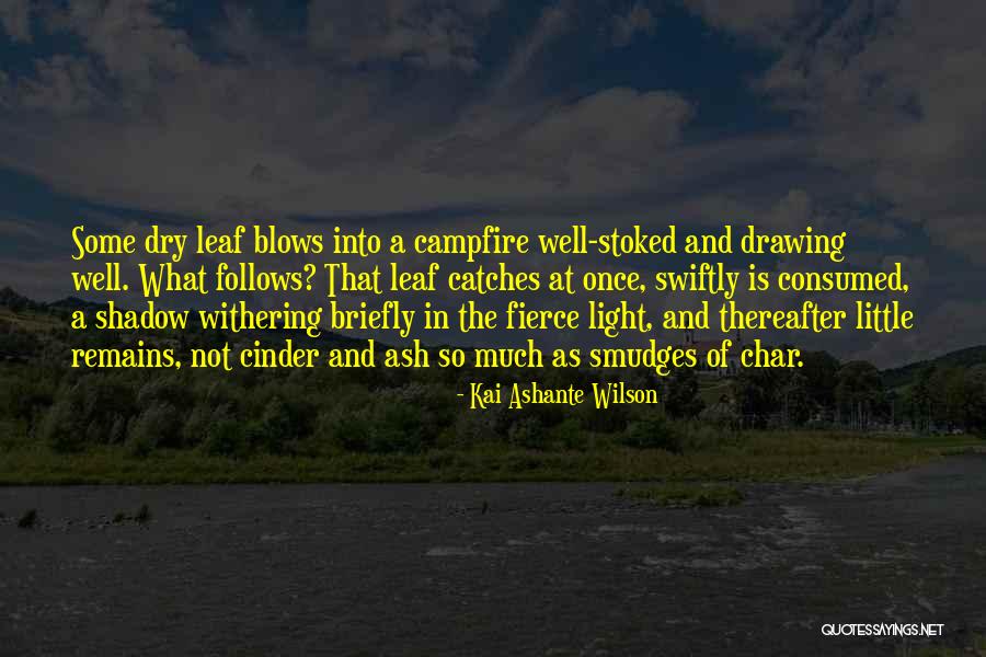 Shadow And Light Quotes By Kai Ashante Wilson Shadow And Light Quotes By Kai Ashante Wilson