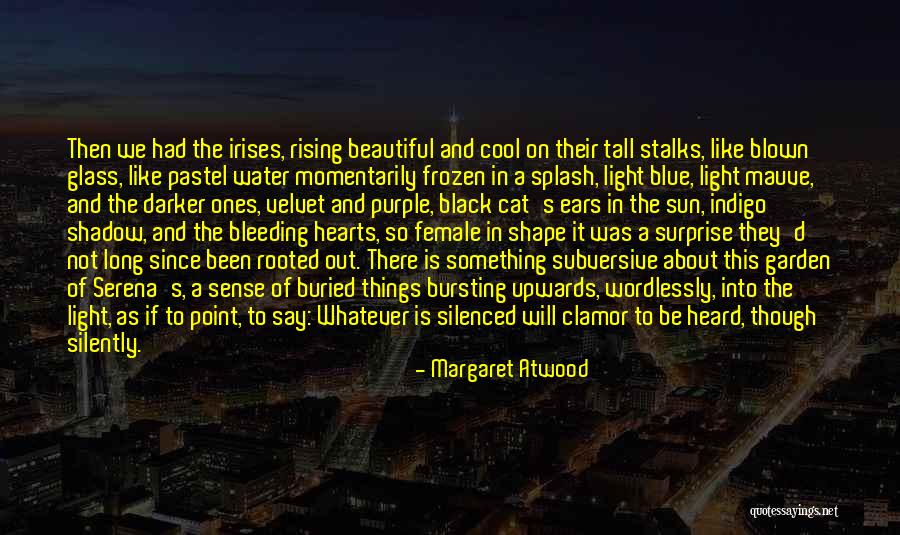 Shadow And Light Quotes By Margaret Atwood Shadow And Light Quotes By Margaret Atwood