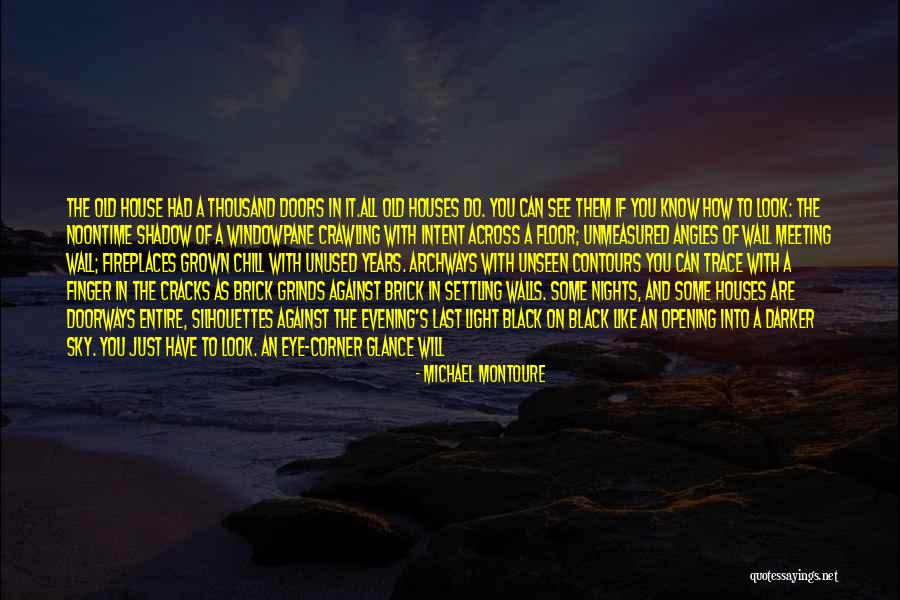 Shadow And Light Quotes By Michael Montoure Shadow And Light Quotes By Michael Montoure
