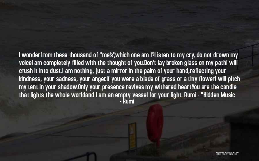 Shadow And Light Quotes By Rumi Shadow And Light Quotes By Rumi