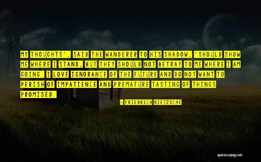 Shadow And Love Quotes By Friedrich Nietzsche Shadow And Love Quotes By Friedrich Nietzsche