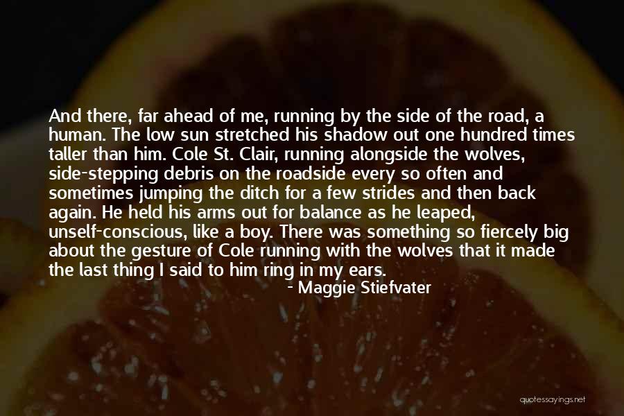 Shadow And Love Quotes By Maggie Stiefvater Shadow And Love Quotes By Maggie Stiefvater