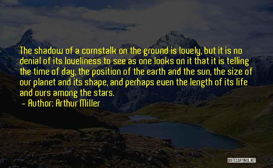 Shadow And Sun Quotes By Arthur Miller