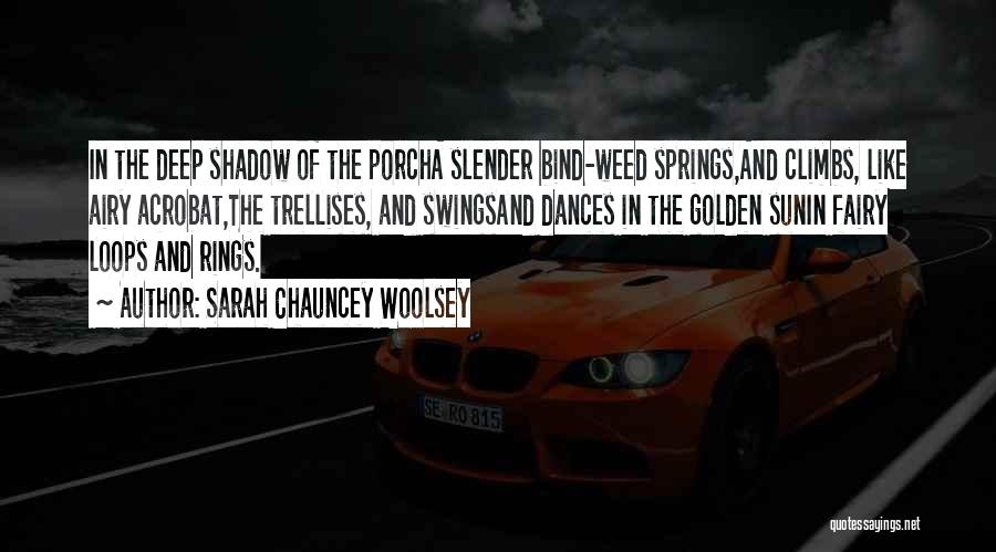Shadow And Sun Quotes By Sarah Chauncey Woolsey
