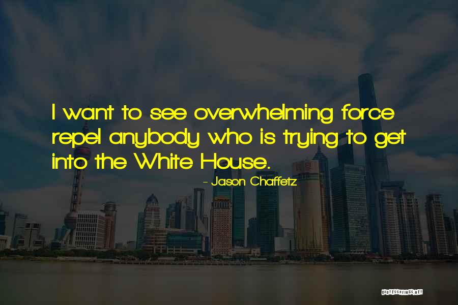 Shadow Boxing Workout Quotes By Jason Chaffetz Shadow Boxing Workout Quotes By Jason Chaffetz