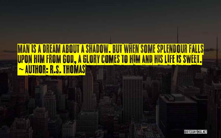 Shadow Falls Best Quotes By R.S. Thomas