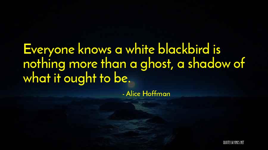 Shadow Knows Quotes By Alice Hoffman Shadow Knows Quotes By Alice Hoffman