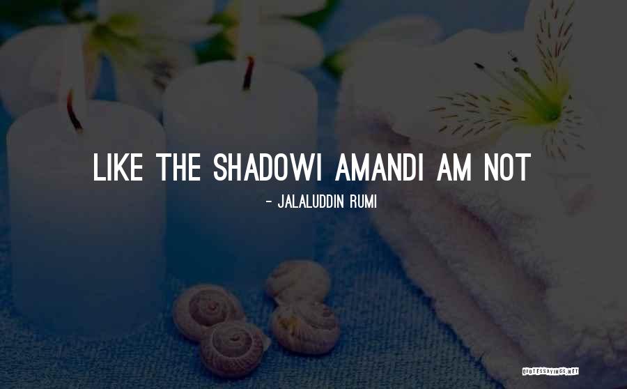 Shadow Like Quotes By Jalaluddin Rumi Shadow Like Quotes By Jalaluddin Rumi